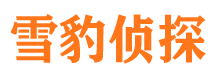 金沙找人公司